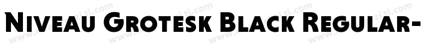 Niveau Grotesk Black Regular字体转换